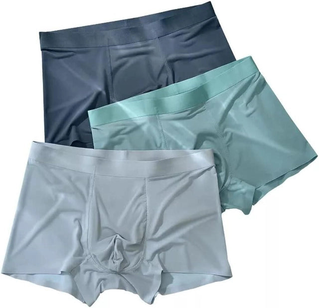 Men's Ice Silk Briefs Boxers
